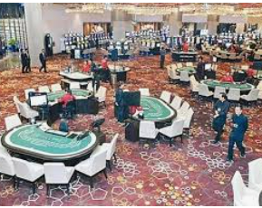 壹号app官网版2024最新版