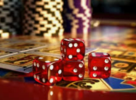 壹号app官网版2024最新版